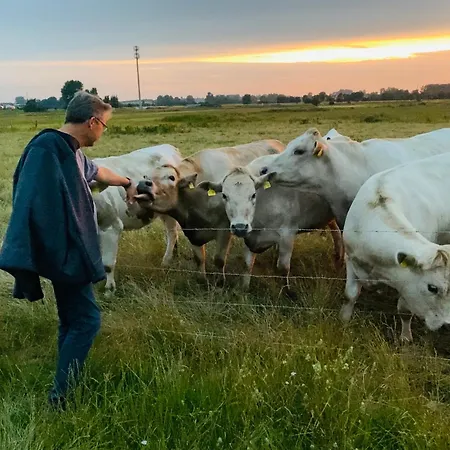 Schlei Feeling Bei Den Lund's - Sonniges Ferienhaus An Der Schlei Und Nahe Ostsee *