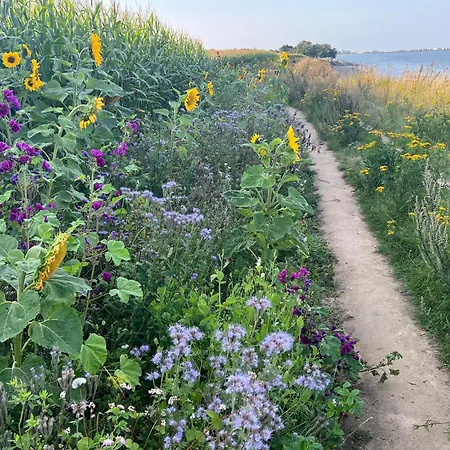 Schlei Feeling Bei Den Lund's - Sonniges Ferienhaus An Der Schlei Und Nahe Ostsee