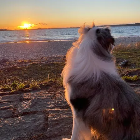 Ferienhaus Schlei Feeling Bei Den Lund's - Sonniges Ferienhaus An Der Schlei Und Nahe Ostsee Kappeln